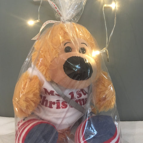 Christmas Teddy Bear Gift
