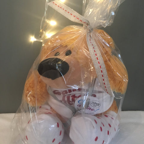 Christmas Teddy Bear Gift