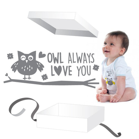 Owl Gift Box 2